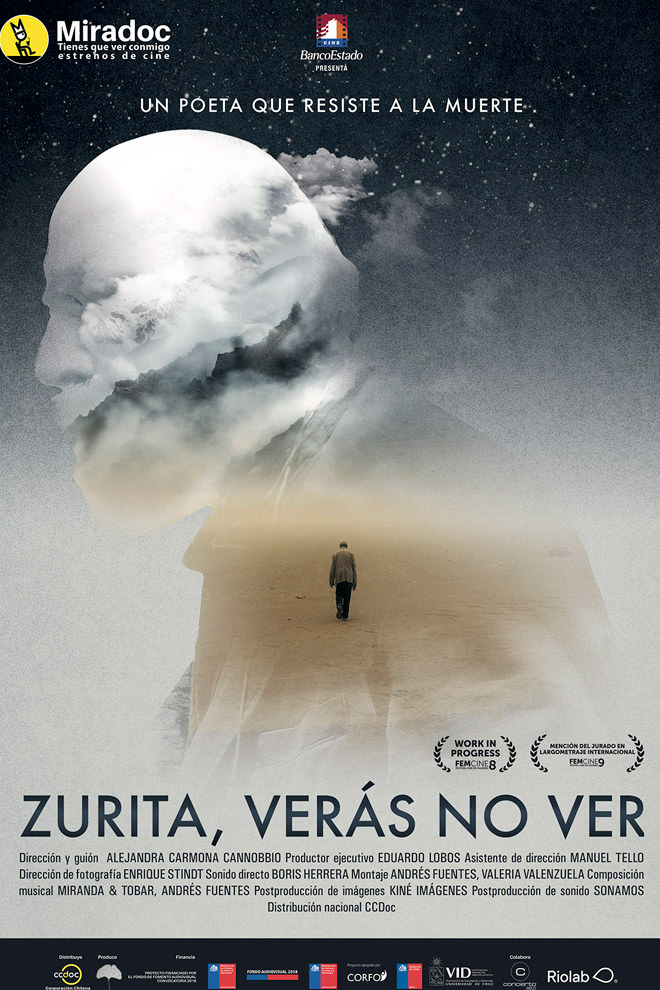 Poster del Documental: Zurita, verás no ver