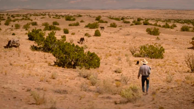 Caminando por el Desierto