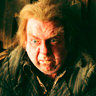 Timothy Spall en el papel de Peter Pettigrew