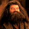 Robbie Coltrane en el papel de Rubeus Hagrid