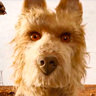 Edward Norton en el papel de Rex, el perro dorado