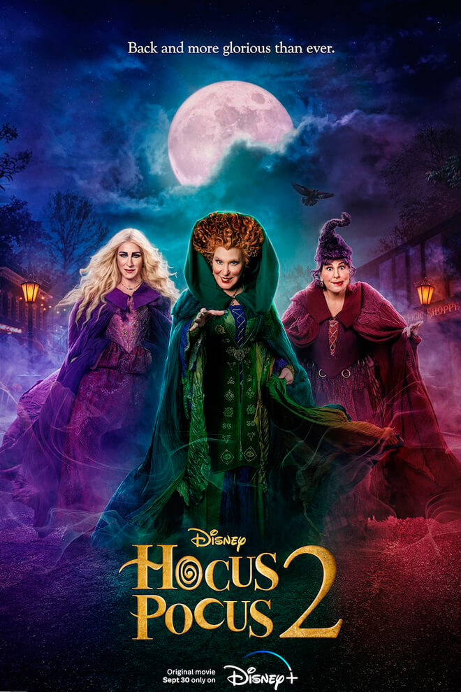 Poster de la Película: El retorno de las brujas 2