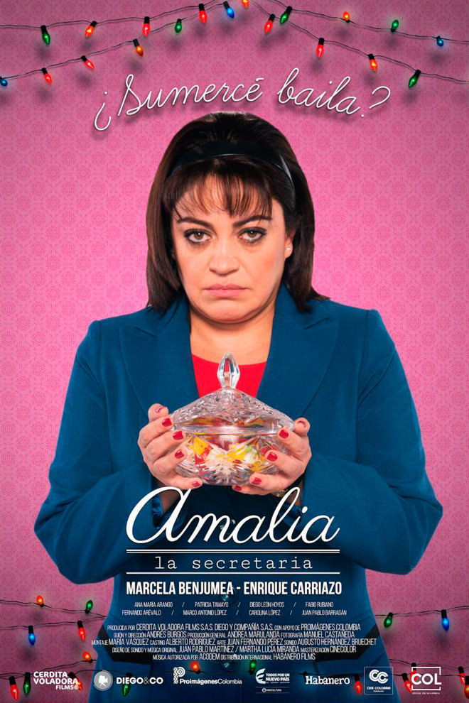 Poster de la Película: Amalia the Secretary
