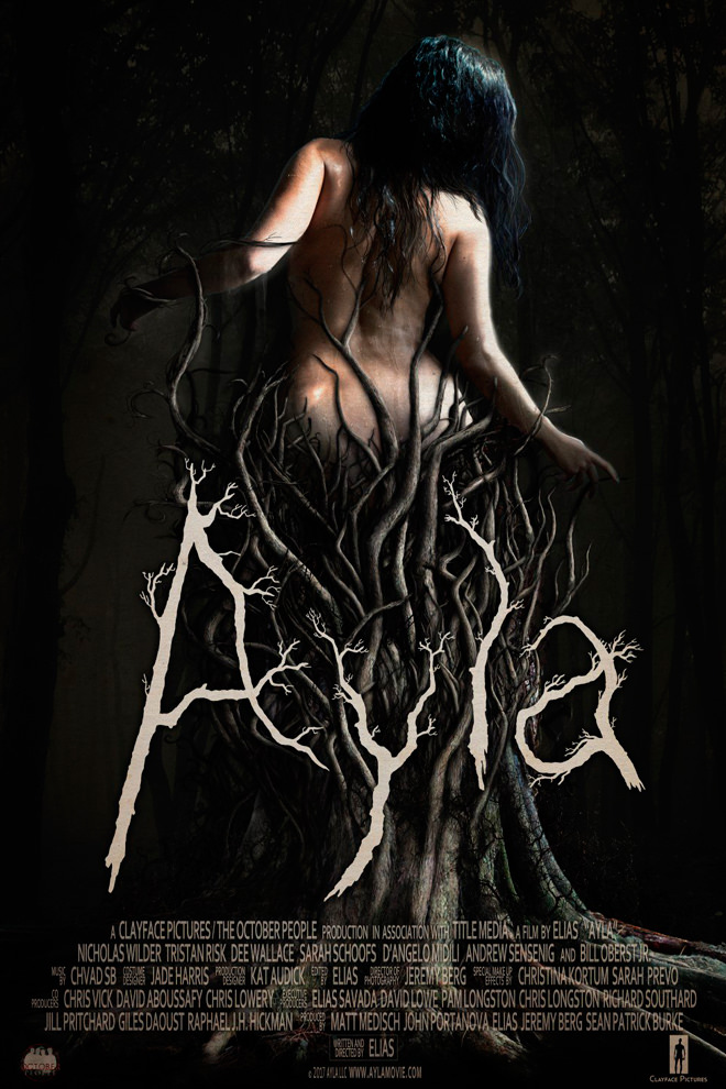 Poster de la Película: Ayla