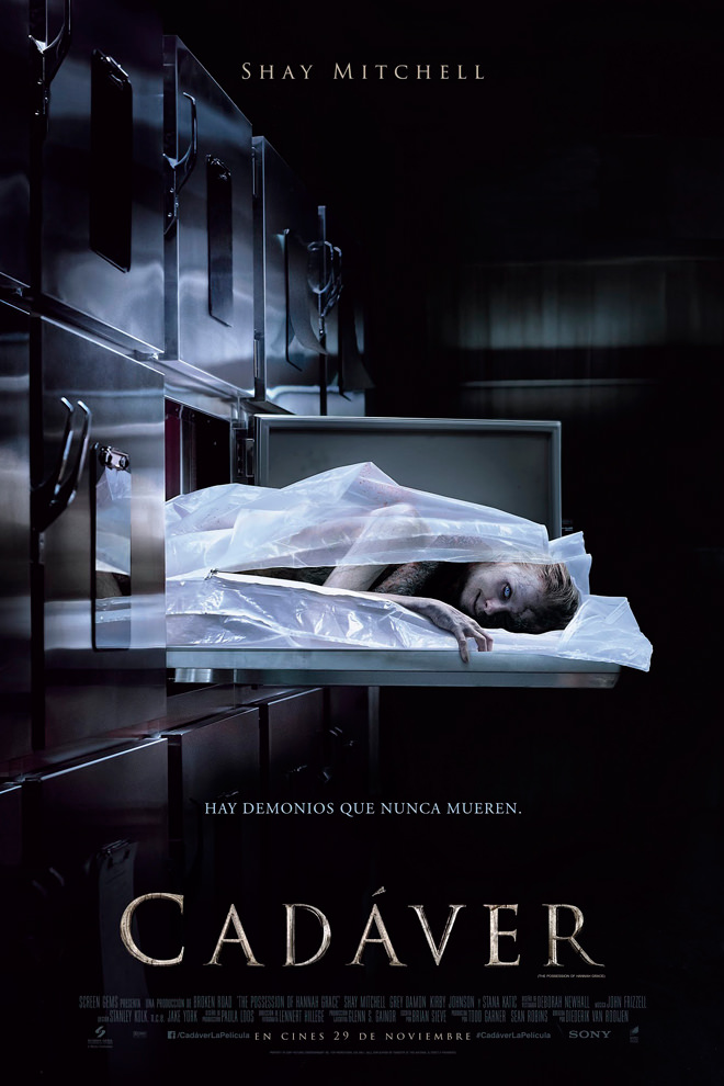 Poster de la Película: The Possession of Hannah Grace