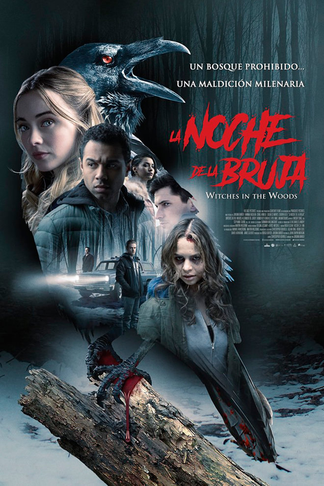 Poster de la Película: Witches in the Woods