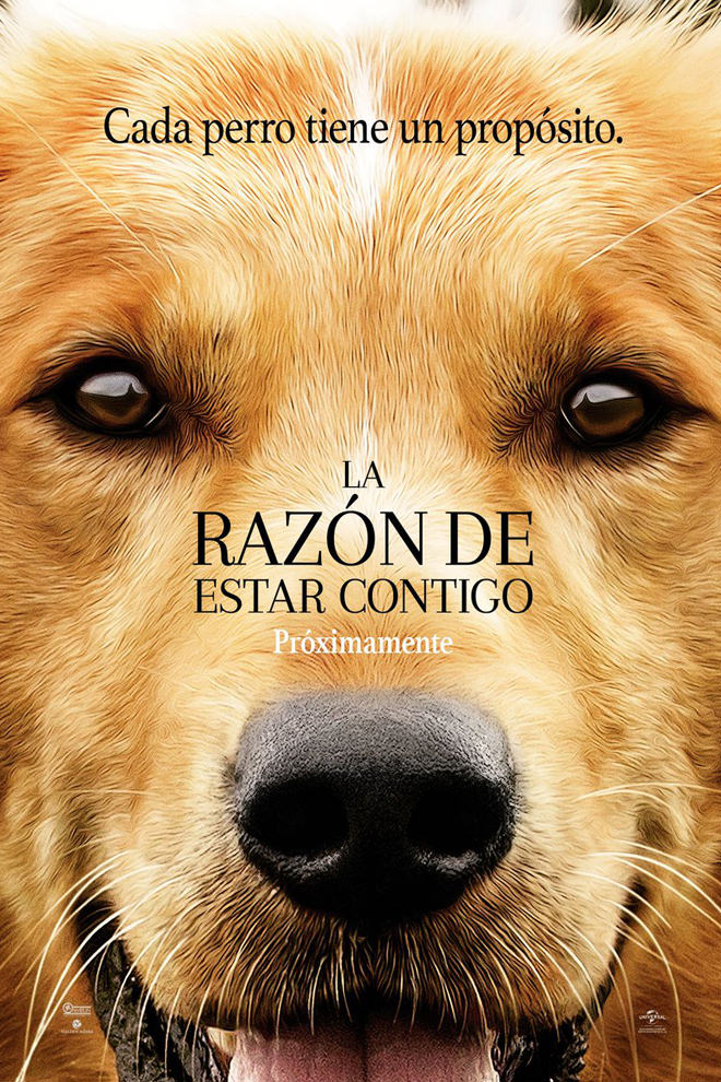 Poster de la Película: A Dog's Purpose