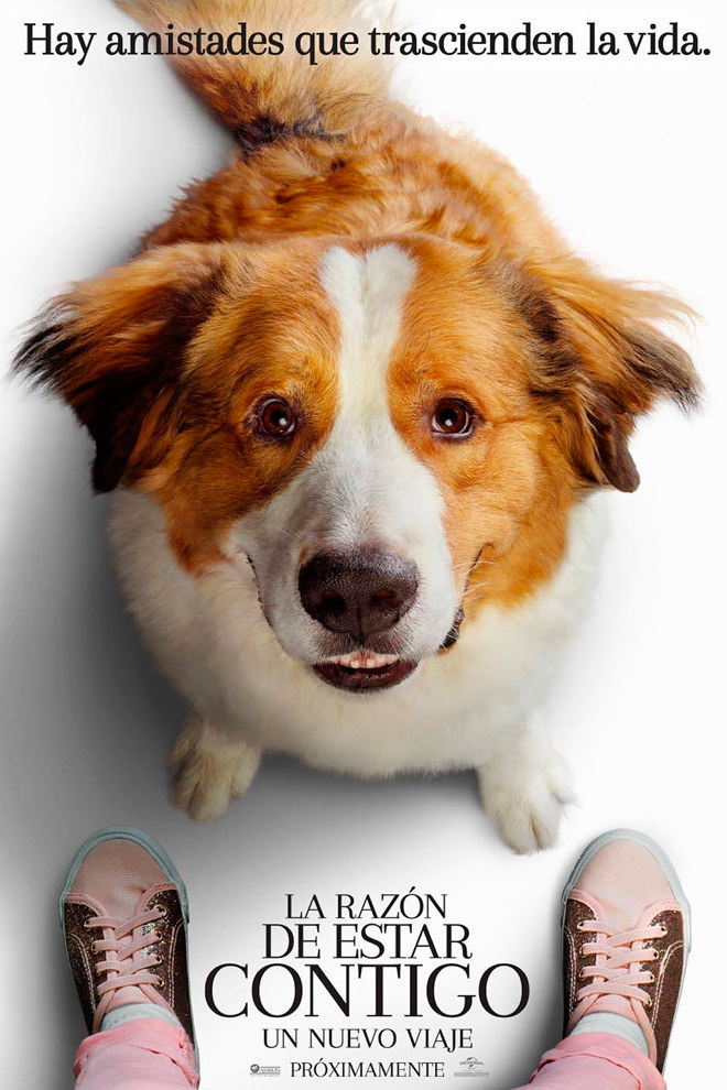 Poster de la Película: A Dog's Journey