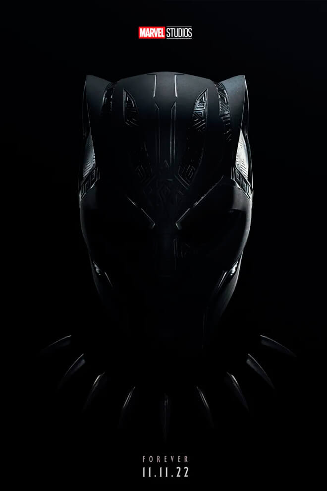 Poster de la Película: Pantera Negra: Wakanda por siempre
