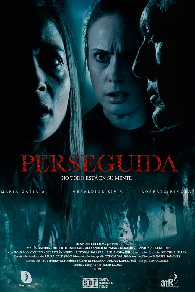 Poster de la Película: Perseguida (2019)