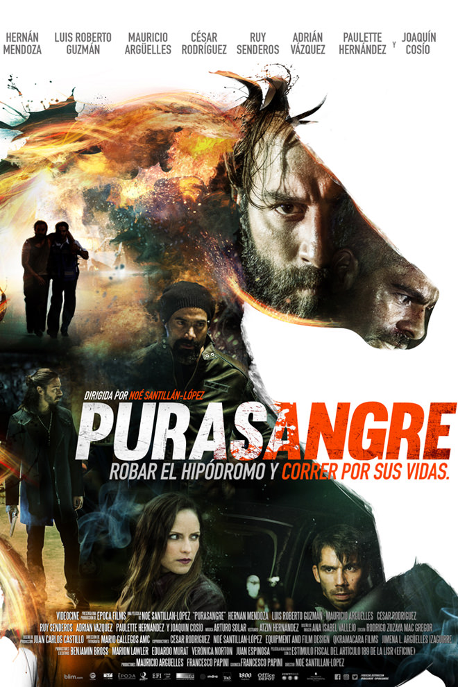 Poster de la Película: Purasangre (2017)