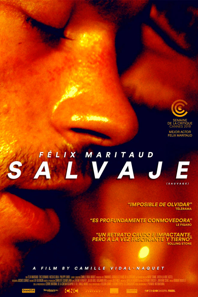 Poster de la Película: Sauvage (2018)