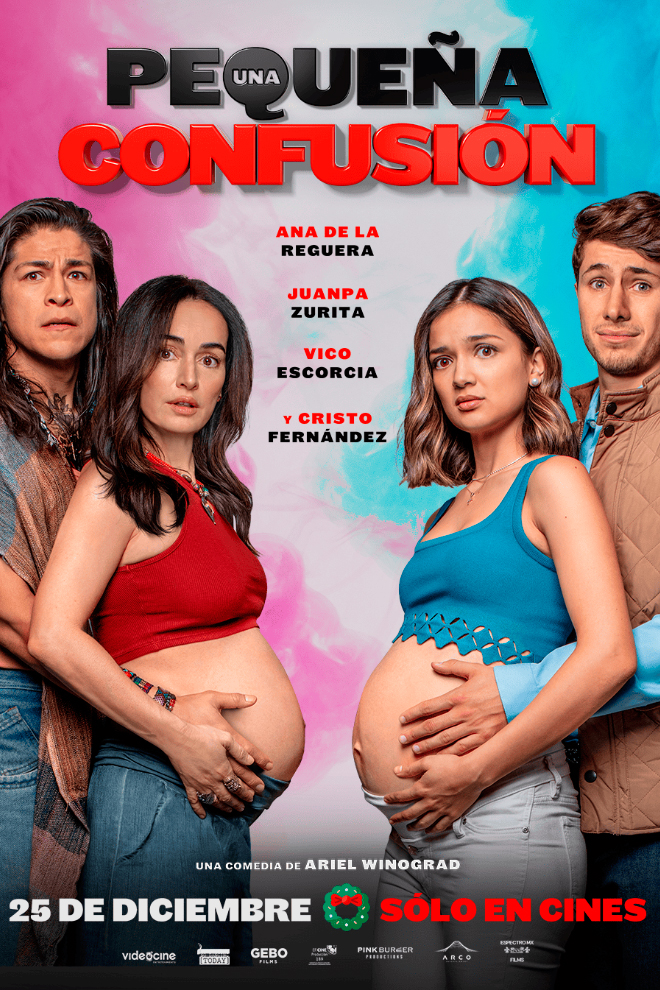 Poster de la Película: Una Pequeña Confusión