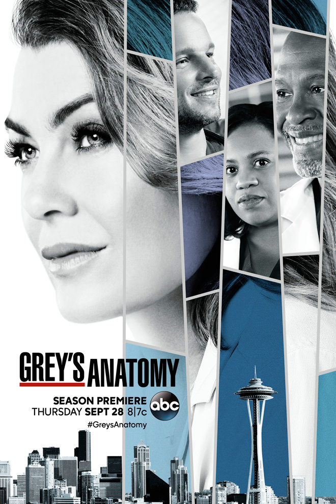 Poster del Programa / Serie: Anatomía Según Grey