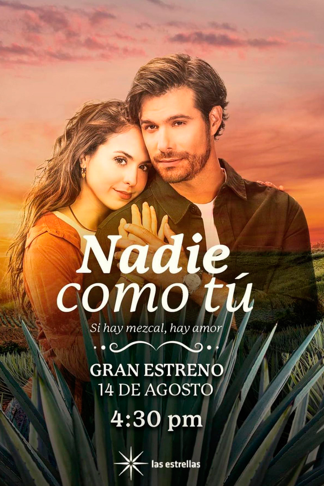 Poster de la Telenovela: Nadie Como Tú (2023)